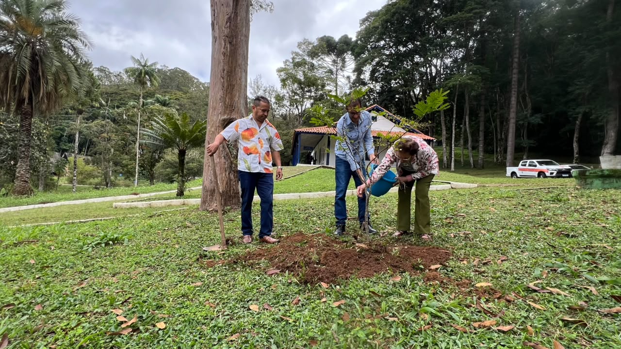 Dia do Meio Ambiente: Museu de Cabangu, em Santos Dumont, recebe plantio de árvore simbólica